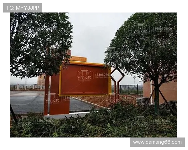 北京任五最新开奖结果今日公布查询